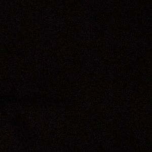 Meet your Posher, Bill